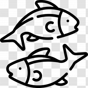 Fish - Simple Line Art Of Two Fish Transparent PNG