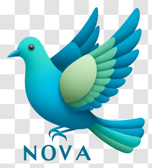 Nova Logo - Blue NOVA Bird Logo Transparent PNG