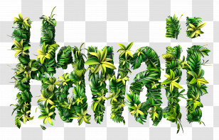 Hawaii - Hawaii Text With Tropical Leaves Transparent PNG