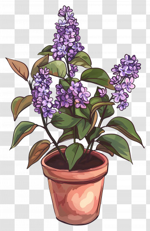 Lilac Flowers - Illustration Of Potted Lavender Plant Transparent PNG