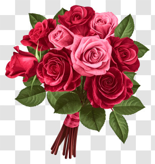 Valentine Rose Bunch Illustrate - Beautiful Bouquet Of Roses Transparent PNG
