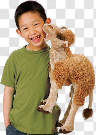 Stuffed Animals & Cuddly Toys Dromedary Hand Puppet - Camel - Master Transparent PNG