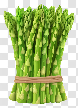 Flat Style Asparagus - Bunch Of Fresh Green Asparagus Stalks Transparent PNG
