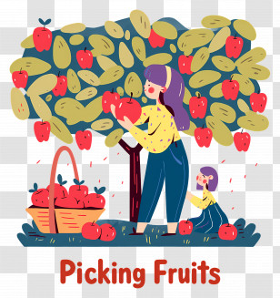 Woman Picking Apples - Fruit Picking In The Orchard Transparent PNG