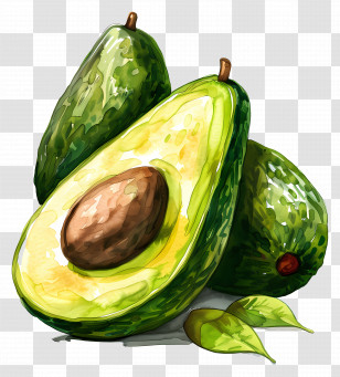 Avocados - Watercolor Art Of Avocados Transparent PNG