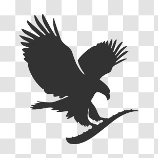 Eagles Logo - Silhouette Eagle Logo On Transparent Background Transparent PNG