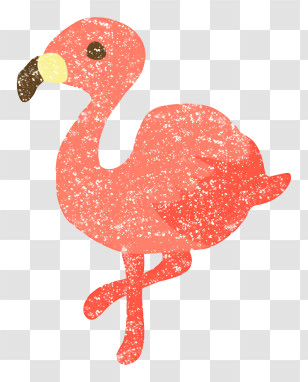 Icon - Pink Flamingo Bird Transparent PNG