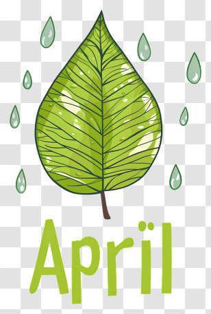 Hello April - April Illustration With Green Leaf And Raindrops Transparent PNG