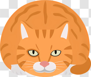 Icon - Orange Cat Cartoon Illustration Transparent PNG