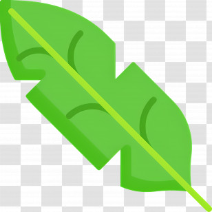 Banana Leaf - Green Leaf Illustration Transparent PNG