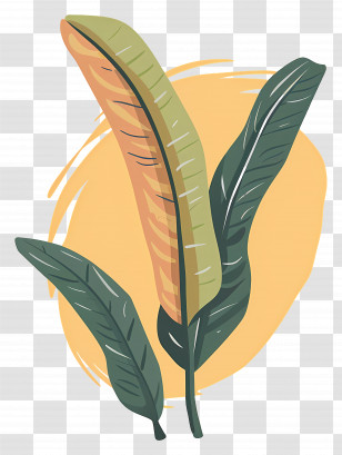 Banana Leaves - Tropical Leaves Illustration Transparent PNG