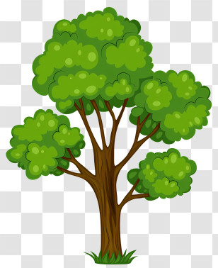 Leaf - Bright Green Cartoon Tree Illustration Transparent PNG
