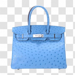 hermes bag transparent