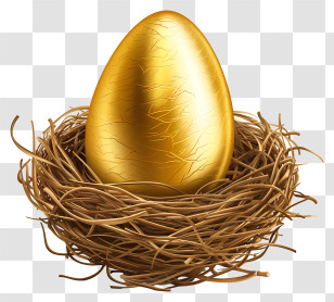 Golden Egg - Golden Egg In Decorative Nest Transparent PNG