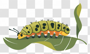 Caterpillar - Green Caterpillar On Leaf Transparent PNG