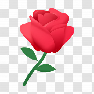 Red Flower - Romantic Red Rose Illustration Transparent PNG