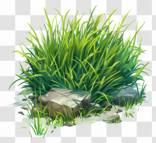Lawn Grass - Lush Green Grass With Rock Illustration Transparent PNG