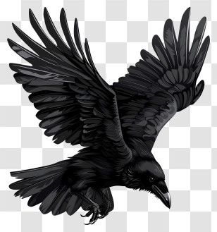 Black Raven - Black Crow In Flight Transparent PNG
