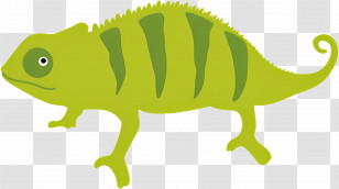 Chameleon - Green Chameleon Silhouette Artwork Transparent PNG