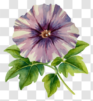 Flower - Purple Flower With Green Leaves Transparent PNG