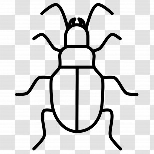 Beetle - Simple Beetle Outline Illustration Transparent PNG
