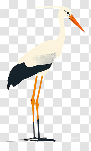 White Stork - White Stork Illustration With Graceful Features Transparent PNG