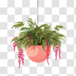 Hanging Plant With Pot - Hanging Plant With Pink Flowers Transparent PNG