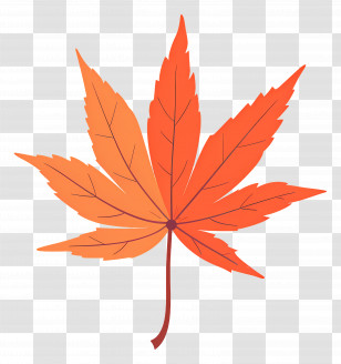 Autumn Maple Leaf - Orange Maple Leaf Illustration Transparent PNG