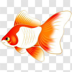 Fish - Detailed Illustration Of An Orange And White Goldfish Transparent PNG