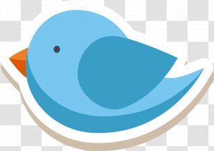 Beak Cygnini Goose Duck Water Bird - Ducks Geese And Swans Transparent PNG
