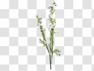 Flower Bouquet Cut Flowers Artificial Chamelaucium - Tree Transparent PNG