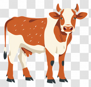 Cow - Brown And White Cow Illustration Transparent PNG