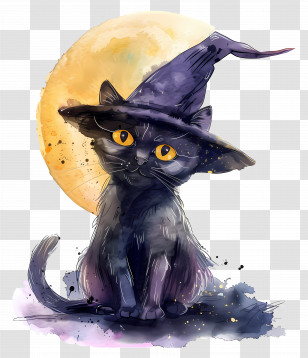 Halloween Cat - Black Cat Wearing Witch Hat Under The Moon Transparent PNG
