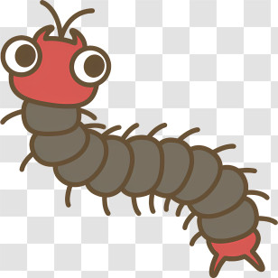 Insect - Cute Cartoon Centipede Transparent PNG