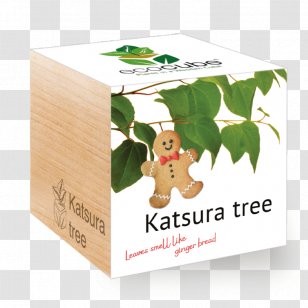 Plant Seed Lyreleaf Greeneyes Wood - Box Transparent PNG