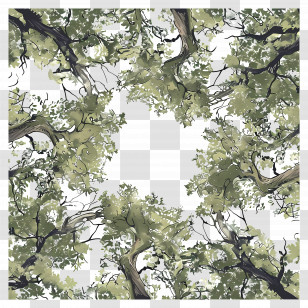 Forest Canopy - Tree Canopy Transparent PNG
