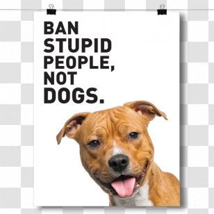 Dog Breed Puppy Pit Bull Behavior Collar - People With Transparent PNG