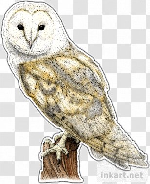 Great Grey Owl Bird Barn Transparent PNG