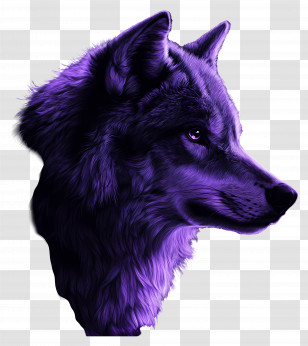 Fantasy Wolf - Majestic Purple Wolf Head Portrait Transparent PNG