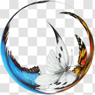 Desktop Wallpaper - Dishware - Chemin De Villard Transparent PNG