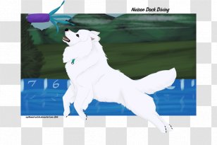 Dog Breed - Group Transparent PNG