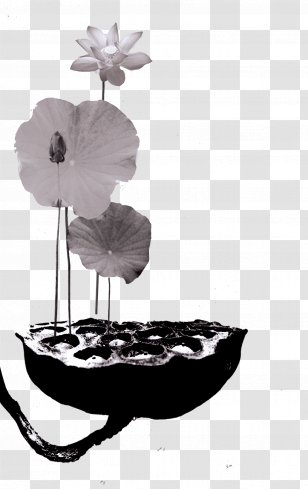 Poster Chinoiserie - Black And White - Ink Lotus Effect Transparent PNG