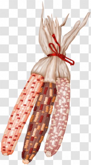 Clip Art Image Maize Download - Search Engine - Corn Transparent PNG