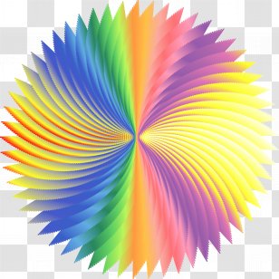 Circular Saw Blade Table Saws Cutting - Dewalt - Artwork Transparent PNG