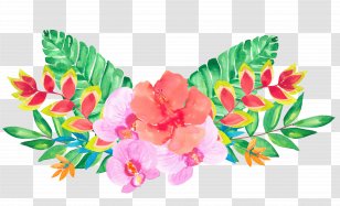 Floral Design Flower Illustration - Pink - Decoration Transparent PNG