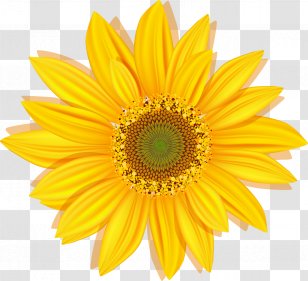 Flower Paper Search Engine Optimization Rotation - Sunflower Transparent PNG