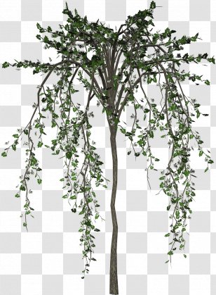 Tree Flower Plant Clip Art Transparent PNG