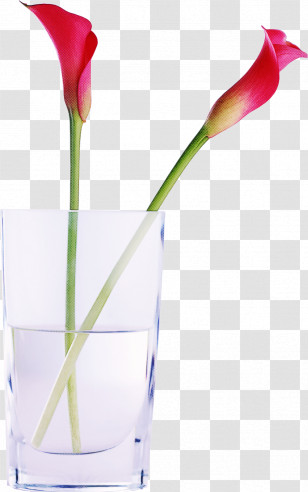 Plant Stem Petal Vase Purple Flower Transparent PNG