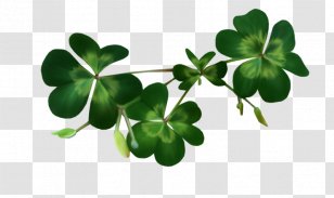 National ShamrockFest Saint Patrick's Day Clip Art - Plant Transparent PNG