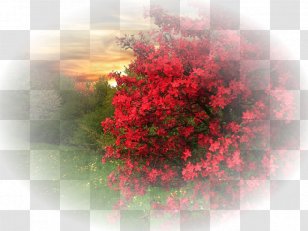 Landscape Desktop Wallpaper Nature - Sunlight - Day Transparent PNG